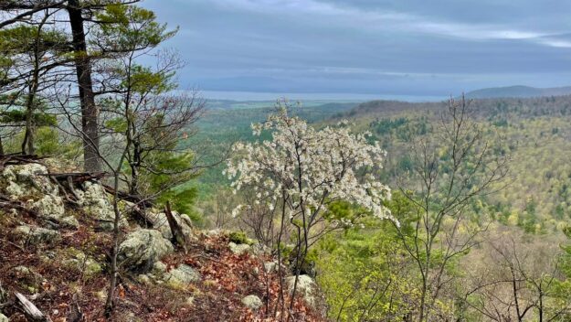 Hoisington summit trees and lake