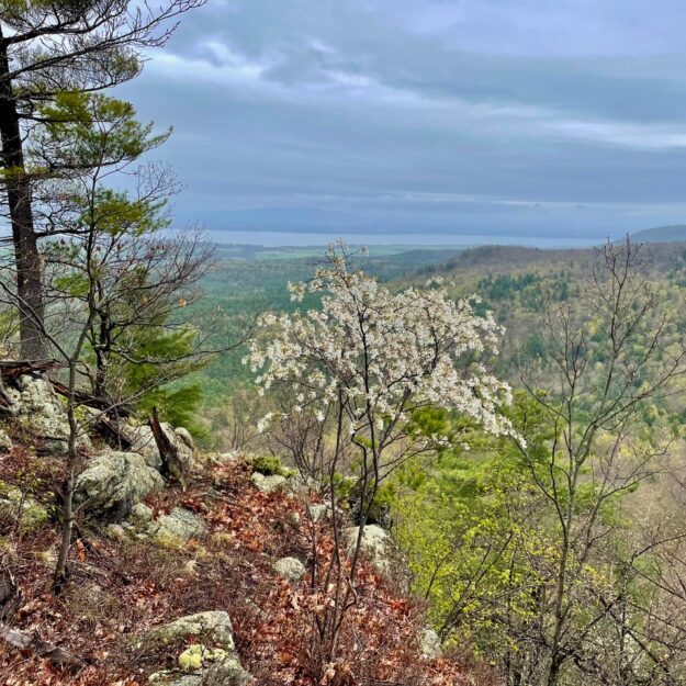 Hoisington summit trees and lake