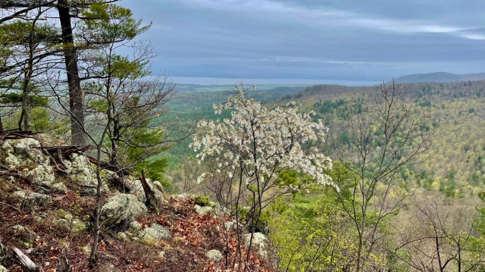 Hoisington summit trees and lake