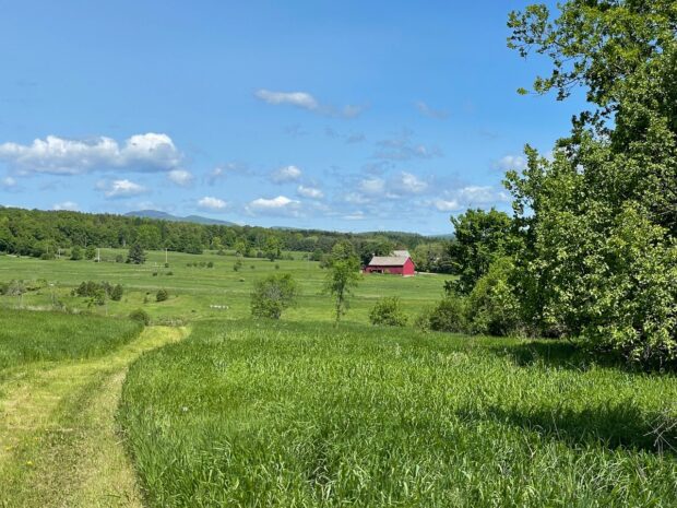 Leichter trail farmland