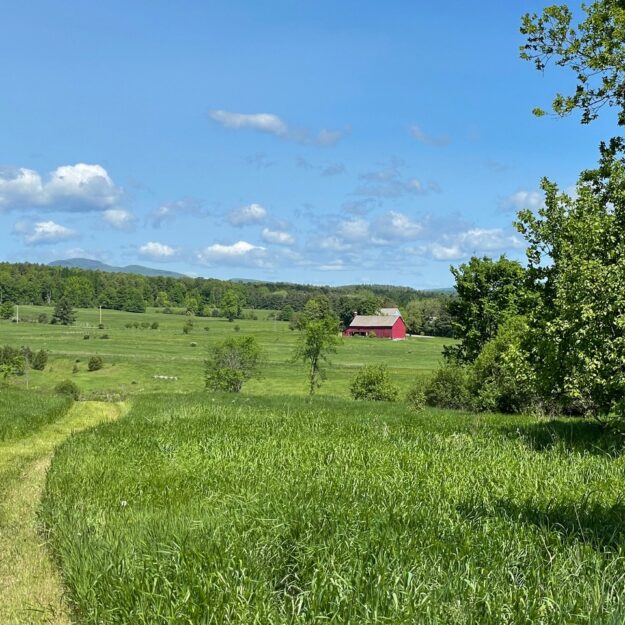 Leichter trail farmland