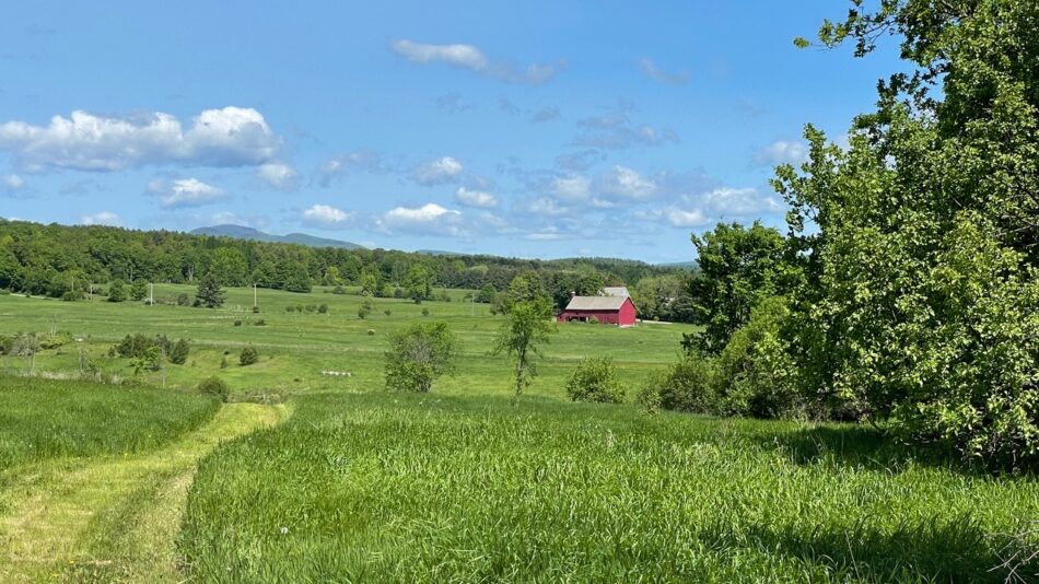 Leichter trail farmland