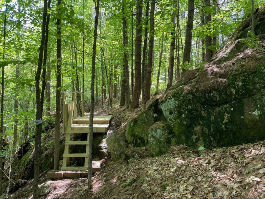 Wooden ladder