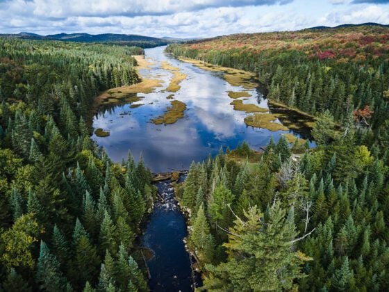 Talks progress on Whitney Park easement that could protect 32,000 Adirondack acres 