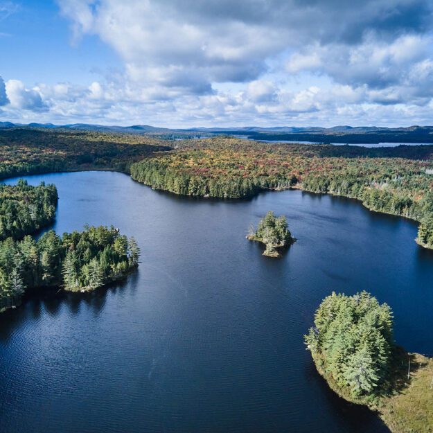 aerial shot of the whitney estate