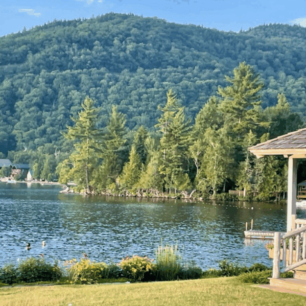 The forested mountainside and peninsula in the middle of the lake where the new home would be built.