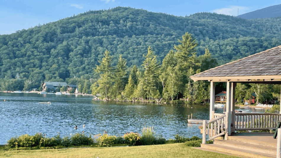 The forested mountainside and peninsula in the middle of the lake where the new home would be built.