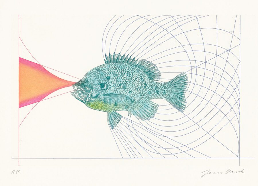 an artistic print of a blue fish