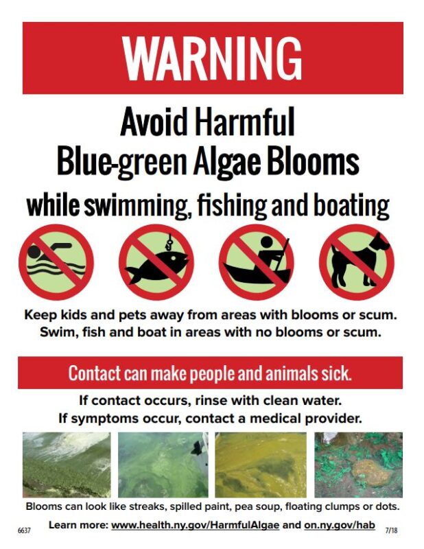 flier on avoiding harmful algal blooms