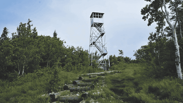rustic log steps lead toward a white fire tower atop a mountain incline amid greenery