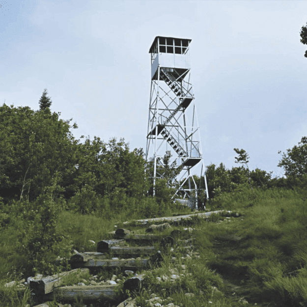 rustic log steps lead toward a white fire tower atop a mountain incline amid greenery