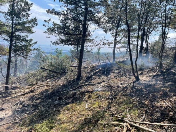 Wildfire in Chesterfield. DEC photo