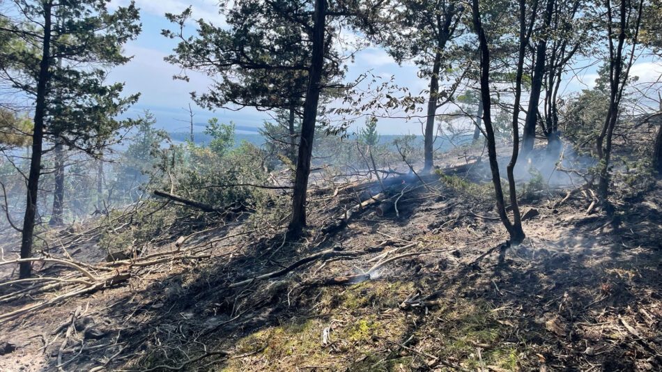 Wildfire in Chesterfield. DEC photo