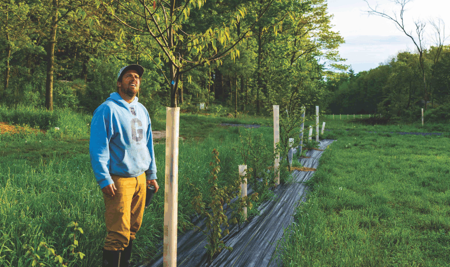 Man in yellow pants and hoodie and farm boots stands beside trees planted in a row in black plastic with wooden stakes in the ground as part of a silvopasture system.