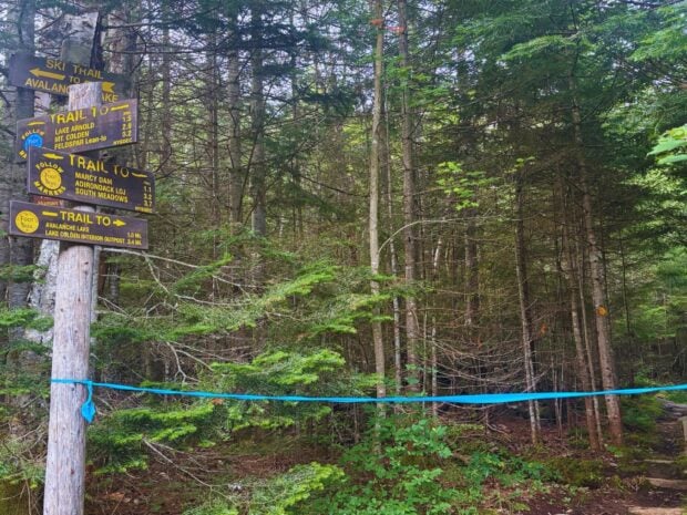 Closed trail at junction point where hikers coming from Marcy Dam would normally continue toward Avalanche Lake.