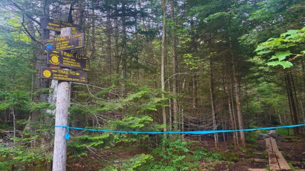 Closed trail at junction point where hikers coming from Marcy Dam would normally continue toward Avalanche Lake.