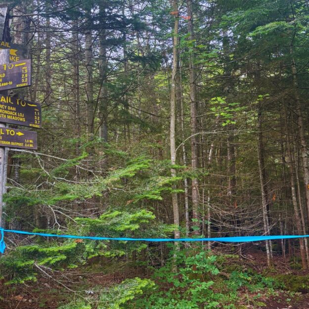 Closed trail at junction point where hikers coming from Marcy Dam would normally continue toward Avalanche Lake.