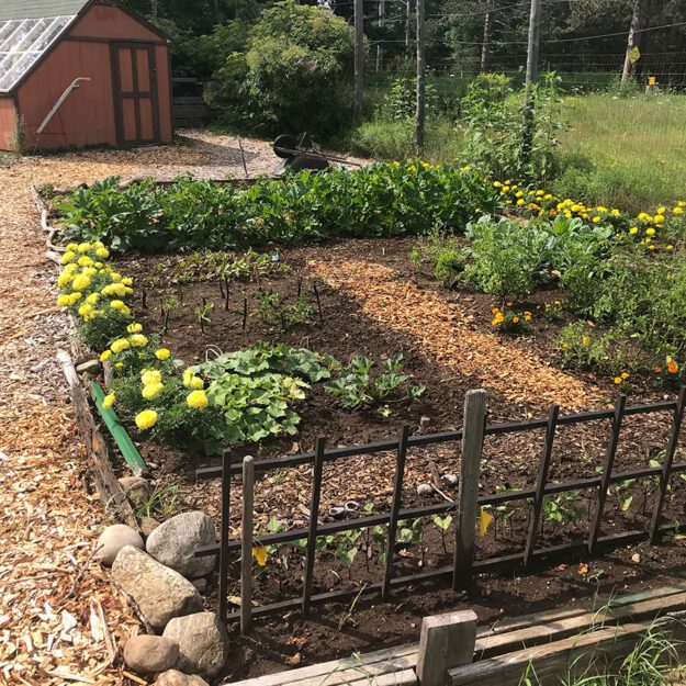 community garden