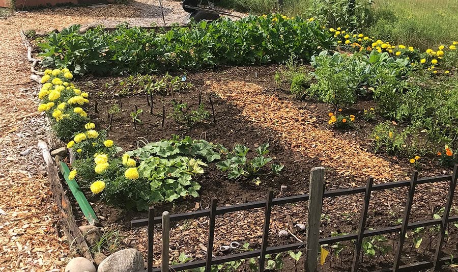 community garden