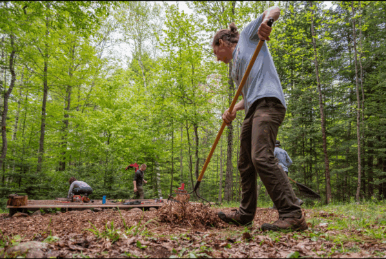 Dewey Mountain meets the mix in Saranac Lake