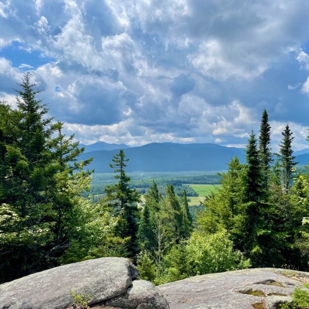 Vista looking out from side of mountain rock surface toward alpine trees and Adirondack mountains in the distance.