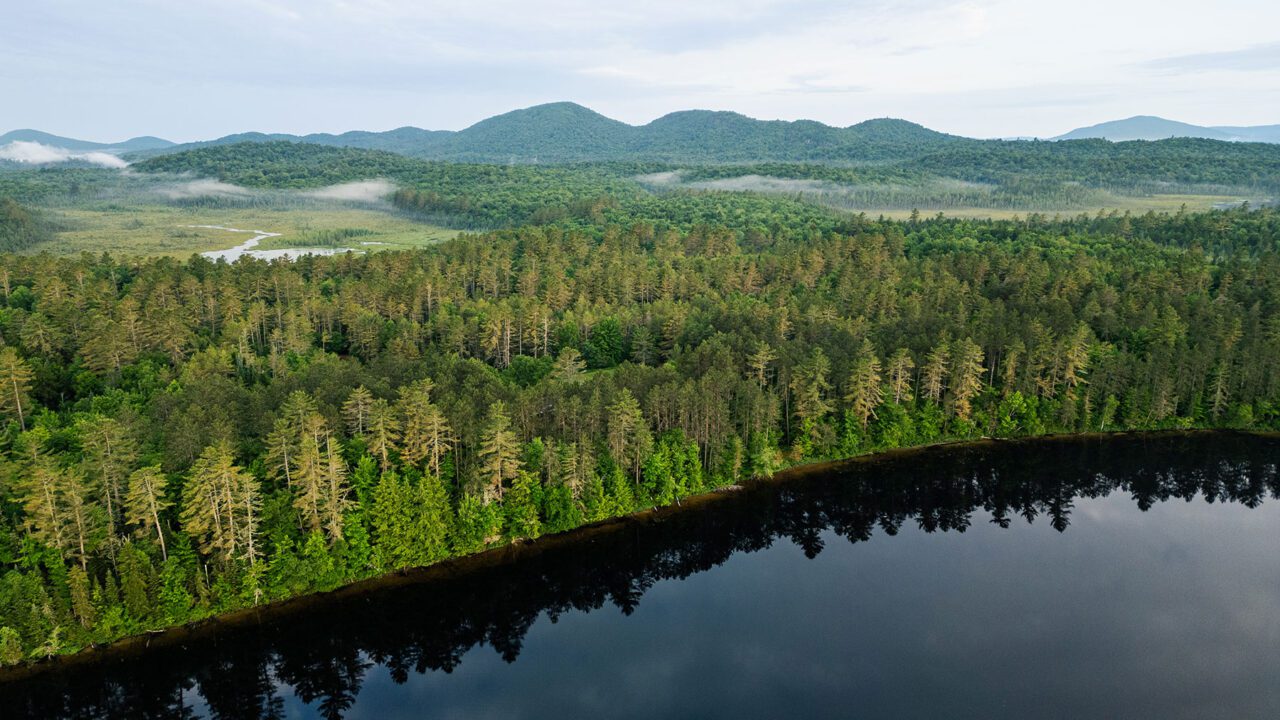 Aerial of Osgood Pond shoreline