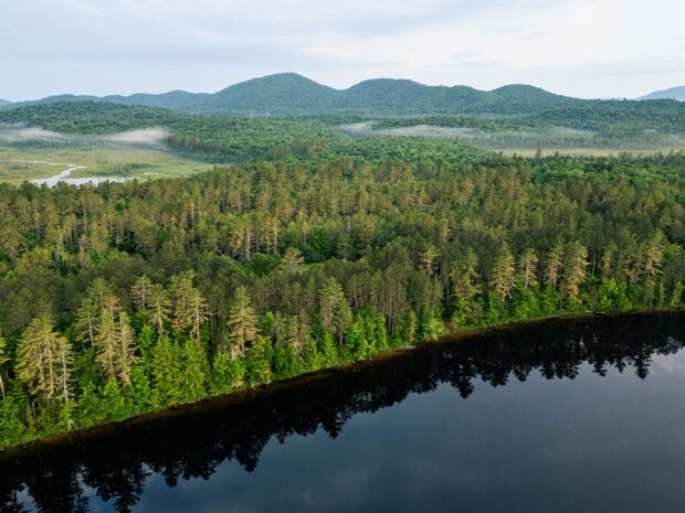 Aerial of Osgood Pond shoreline