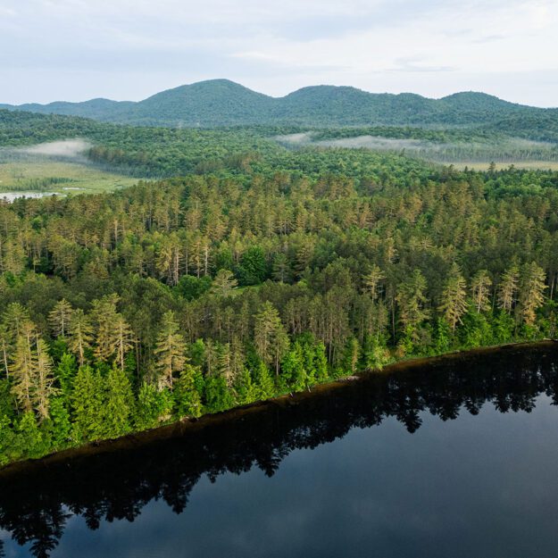 Aerial of Osgood Pond shoreline