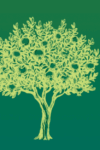 illustration of tree