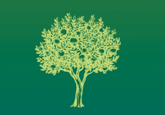 What is agroforestry?