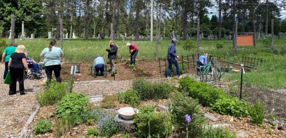 people at a community garden