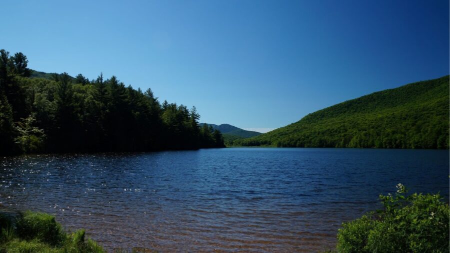 View of Debar Pond 