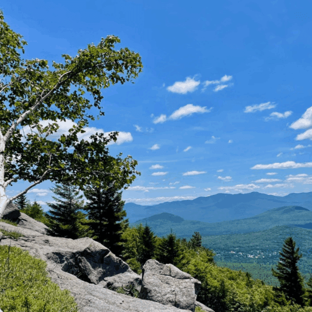 View from Winch Mountain. Photo by Tim Rowland.