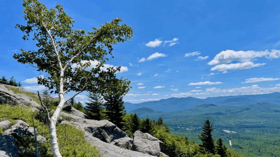View from Winch Mountain. Photo by Tim Rowland.