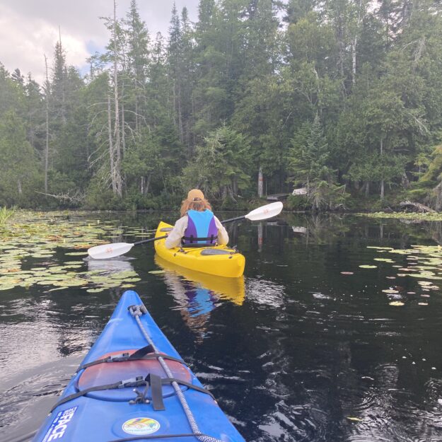 oseetah lake shore line from a kayak