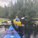 oseetah lake shore line from a kayak