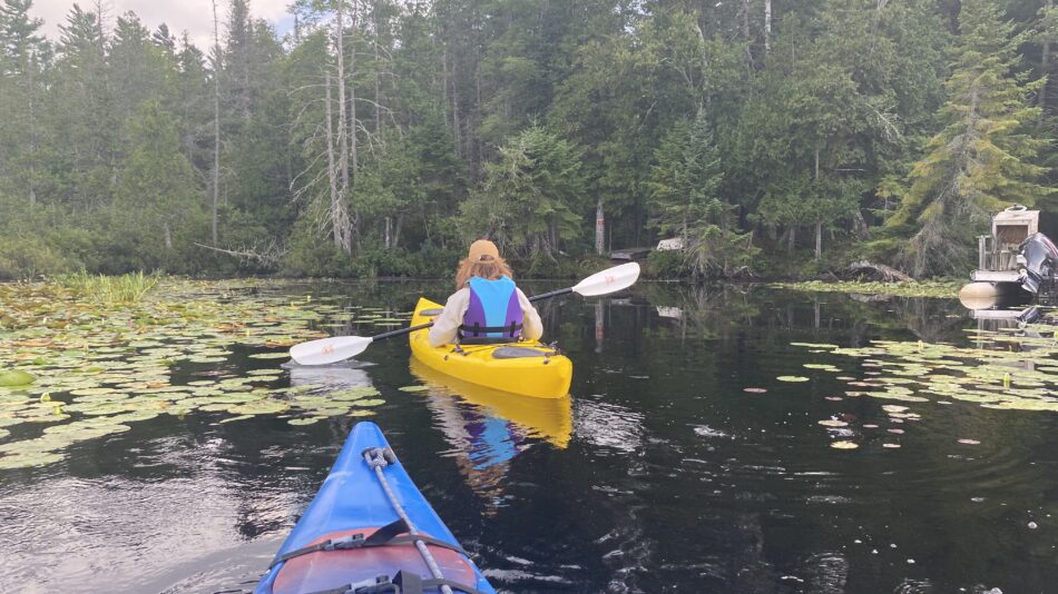 oseetah lake shore line from a kayak