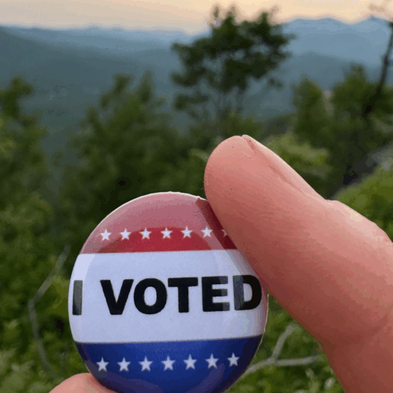 An “I Voted” button on Mt. Inez named for the Adirondacks-connected  suffragist with mountains in the far-medium distance. Photo courtesy of Katie Rhodes