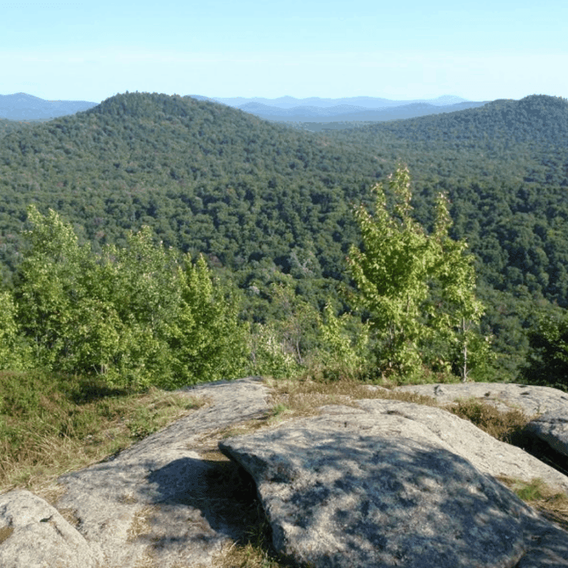 View south from the summit. Photo by Phil Brown.