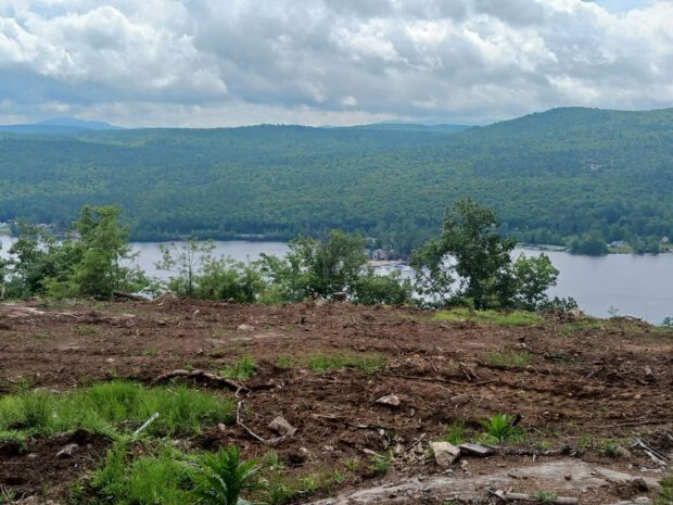 cleared land in brant lake