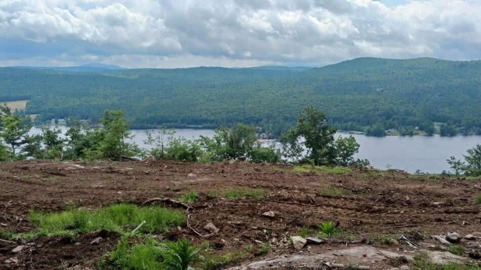 cleared land in brant lake