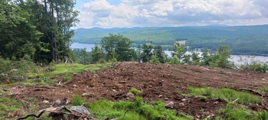 cleared land: for a glamping business or single family home?