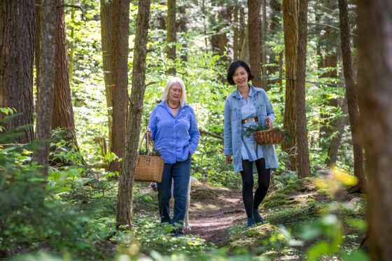 Adirondack Fragrance Farm finds new generation of leaders, in the family