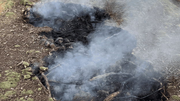 Big Island fire. Photo courtesy of DEC