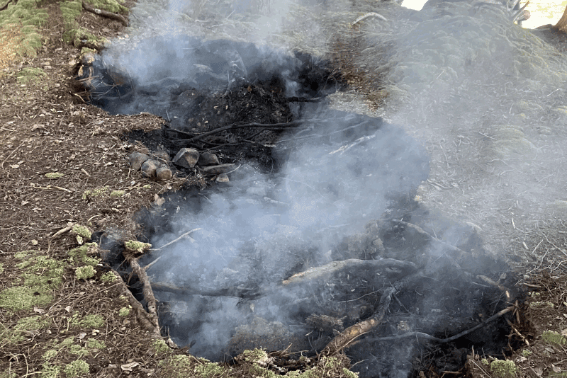 Big Island fire. Photo courtesy of DEC