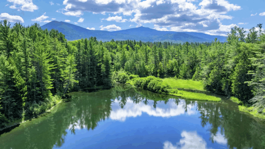 Aerial view of lake, green forest, and blue Adirondack mountain vista in the distance. Located in the hamlet of Bloomingdale, about 25 minutes from Lake Placid, the sprawling property at 2292 Gillespie Drive was previously listed for $5.25 million. The compound will be auctioned at or above $2.3 million on Oct. 9.

Jordan Craig/Platinum Luxury Auctions