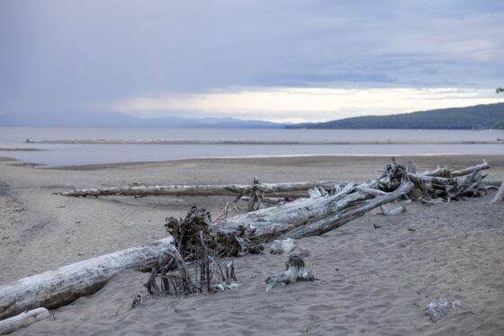 Severe drought declared in Essex County as Lake Champlain water level drops