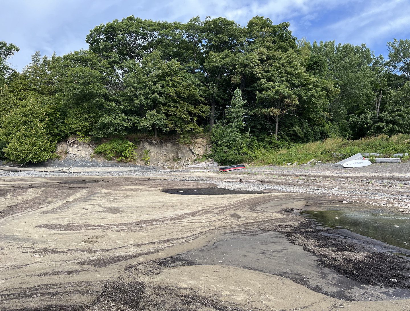 The shoreline has dried up on Lake Champlain in Colchester, Vermont. Photo by Lake Champlain Lakekeeper Julie Silverman
