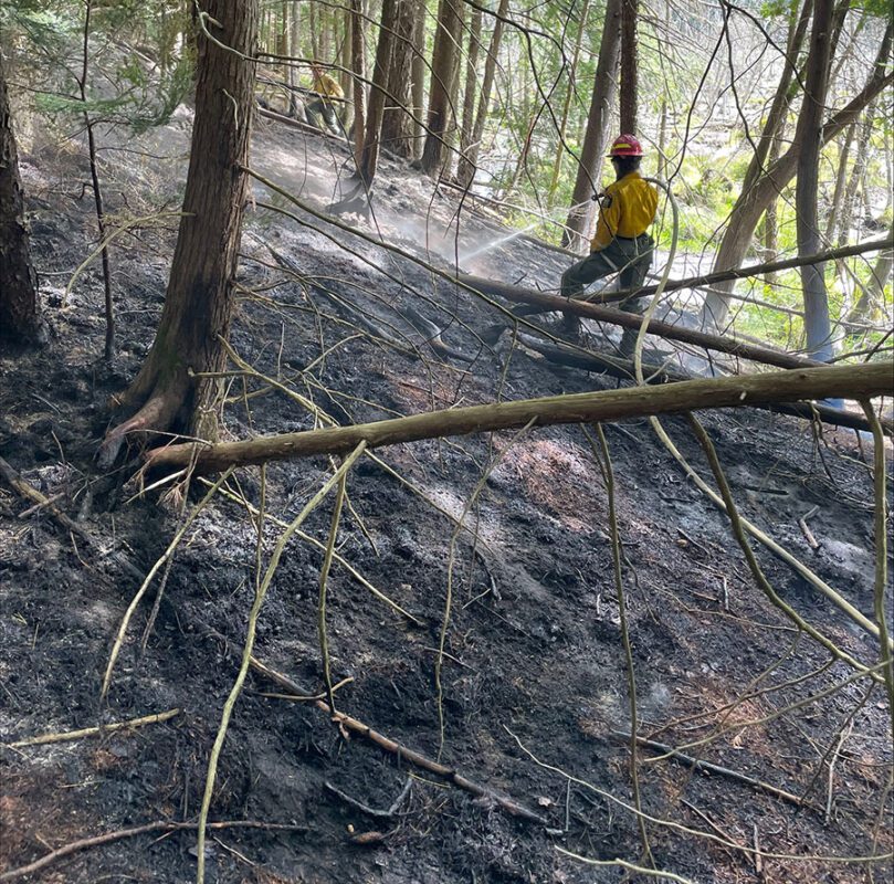 forest ranger in burned forest in Lake Luzerne
