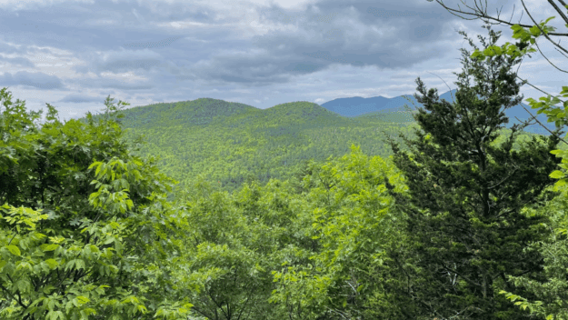 A view from the flank of Bassett Mountain. Photo by Tim Rowland